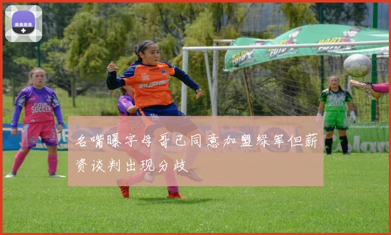 名嘴曝字母哥已同意加盟绿军但薪资谈判出现分歧